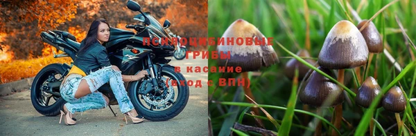 2c-b Абдулино