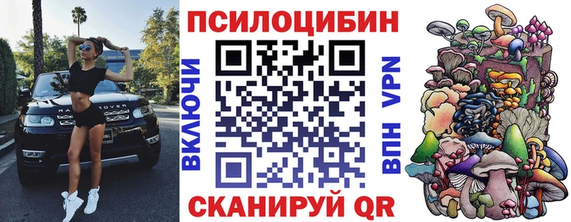 цены   Шебекино  Галлюциногенные грибы Psilocybine cubensis 
